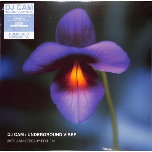 Cam underground vibes - /,
